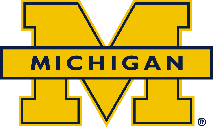Michigan Wolverines 2016-Pres Secondary Logo diy iron on heat transfer